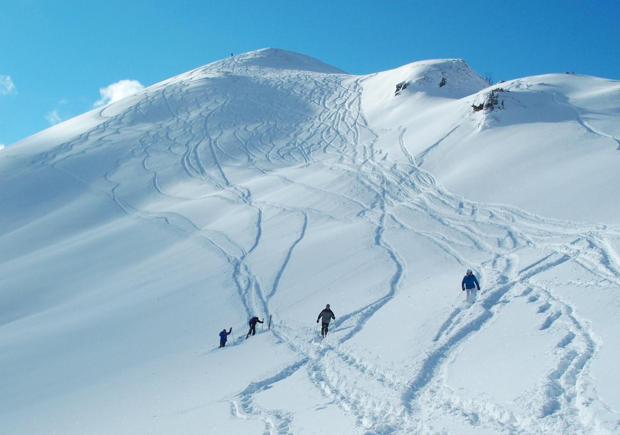 Gasthof Andrelwirt Rauris Exteriör bild