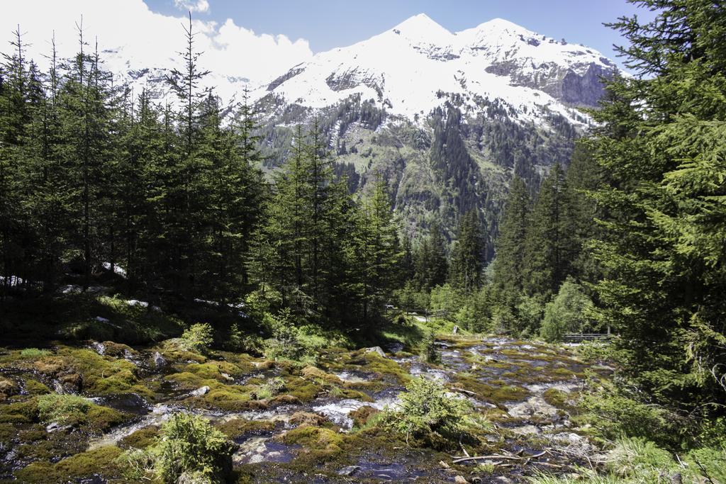 Gasthof Andrelwirt Rauris Exteriör bild